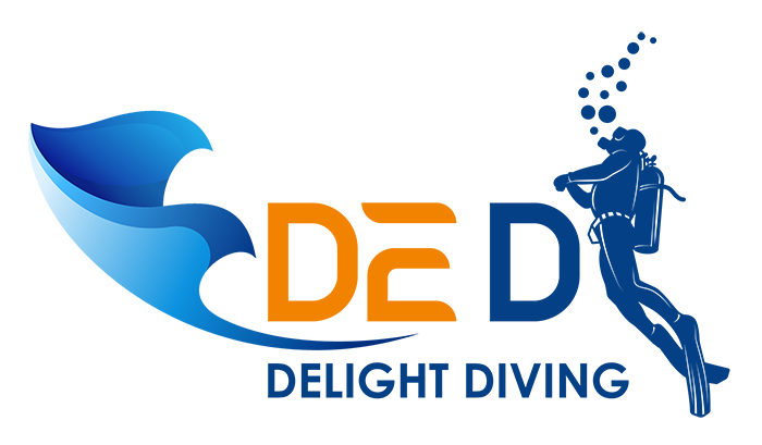Delight diving Nha Trang